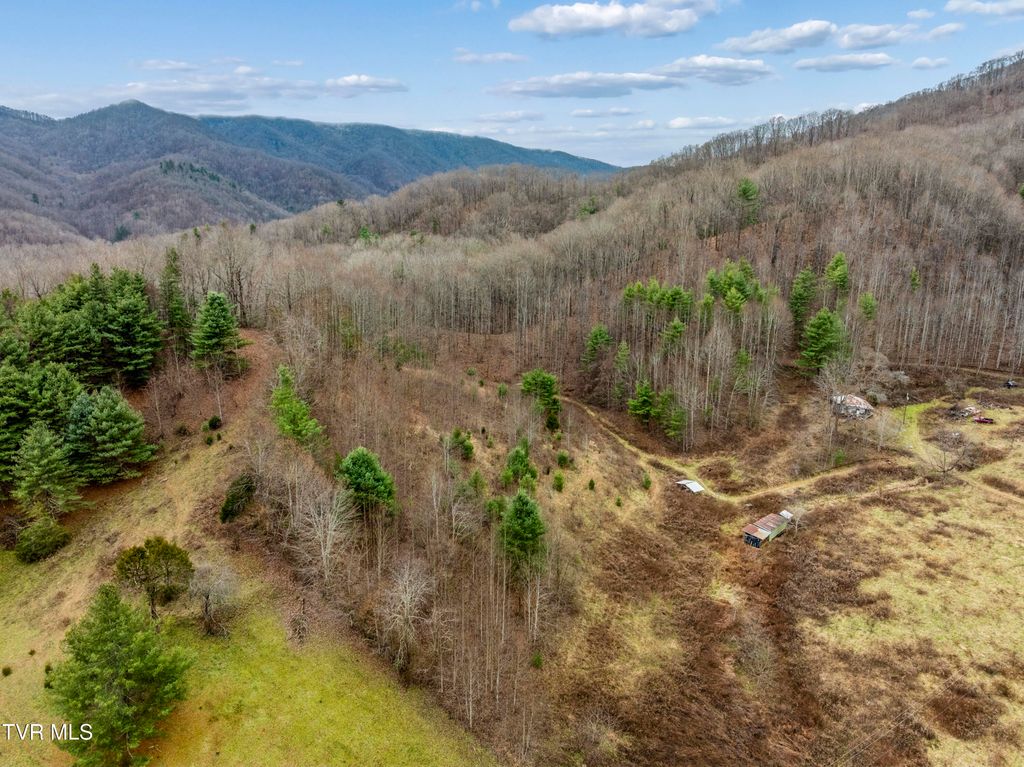 Photo of Tbd Tipton Branch, Flag Pond, TN 37657 (MLS # 9989639)