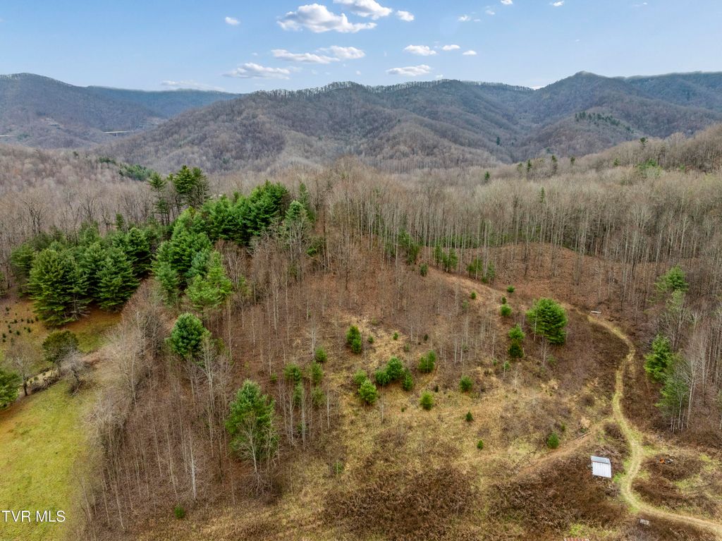 Photo of Tbd Tipton Branch, Flag Pond, TN 37657 (MLS # 9989639)