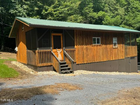Homes For Sale - 143 Doty Road<br/> Roan Mountain, TN 37687
