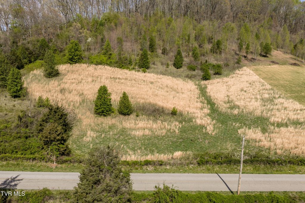 Photo of 2970 Rock Springs Road, Kingsport, TN 37664 (MLS # 9994499)