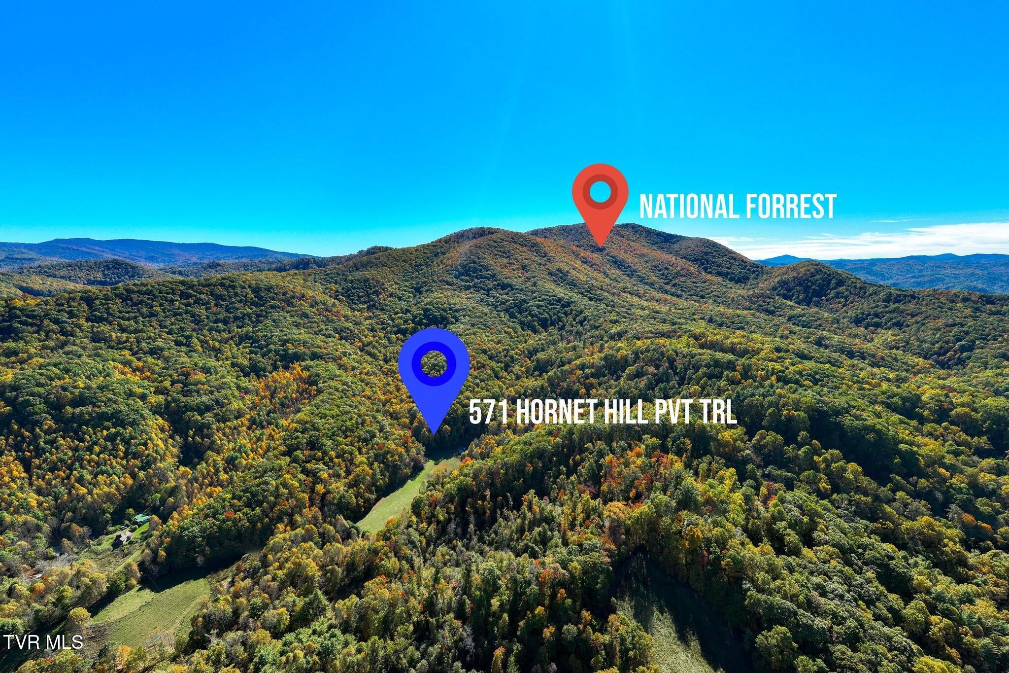 571 Hornet Hill Pvt Trail