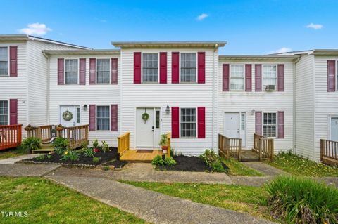 Photo of 44 Tulip Grove Circle #Apt 3, Bristol, TN 37620 (MLS # 9993961)