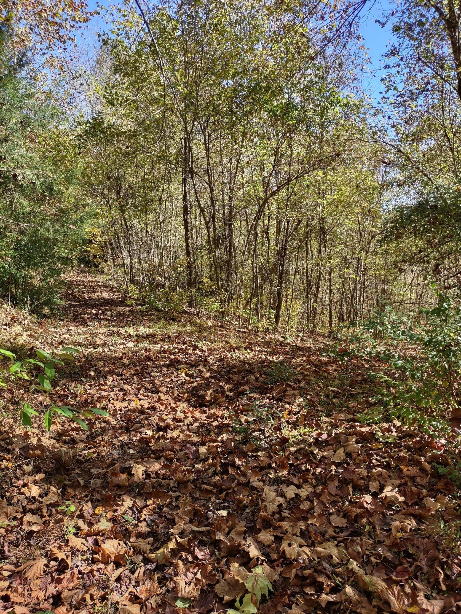 Lot 9 Fork River Road, Abingdon, Virginia image 15