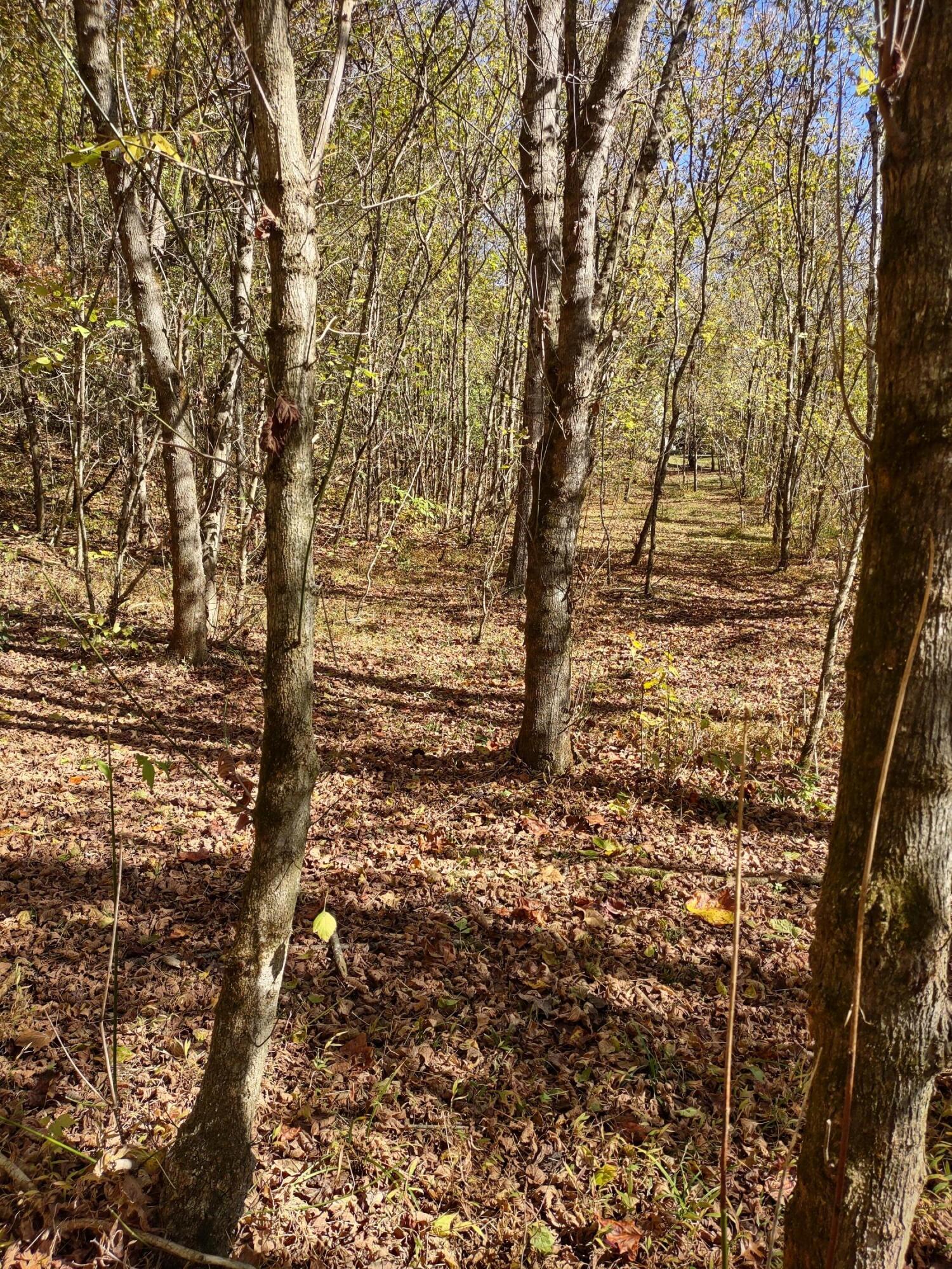 Lot 9 Fork River Road, Abingdon, Virginia image 8