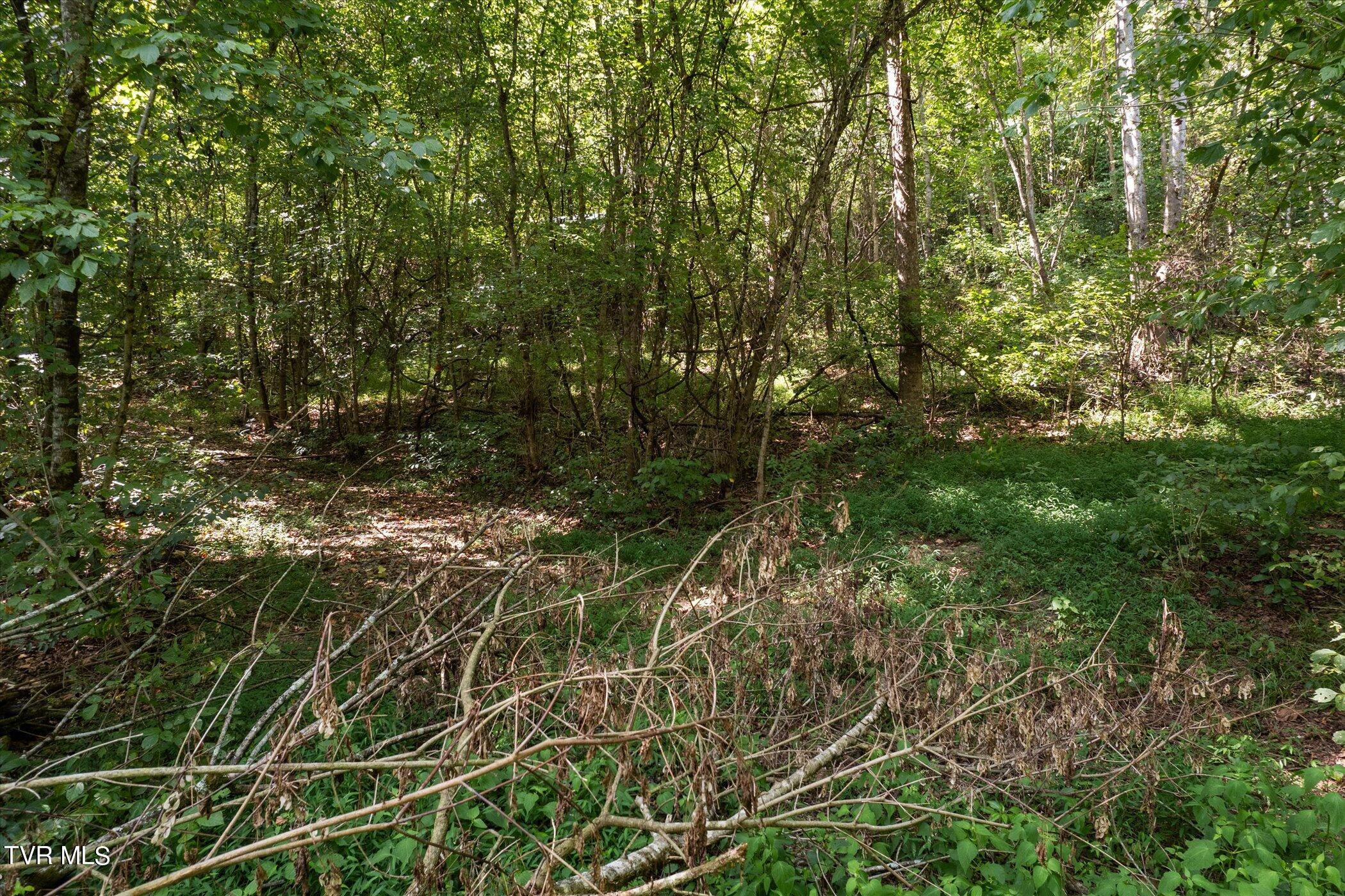 Lot 9 Fork River Road, Abingdon, Virginia image 21