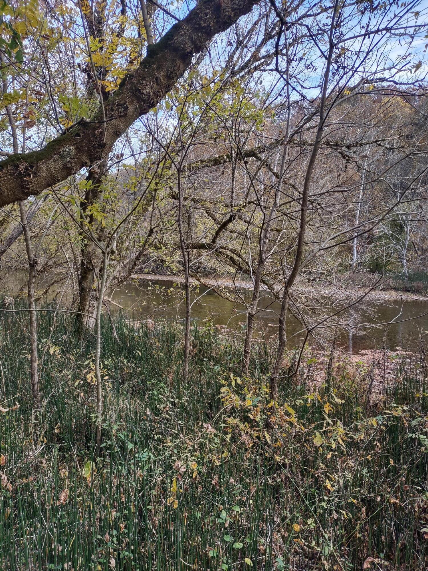 Lot 9 Fork River Road, Abingdon, Virginia image 6