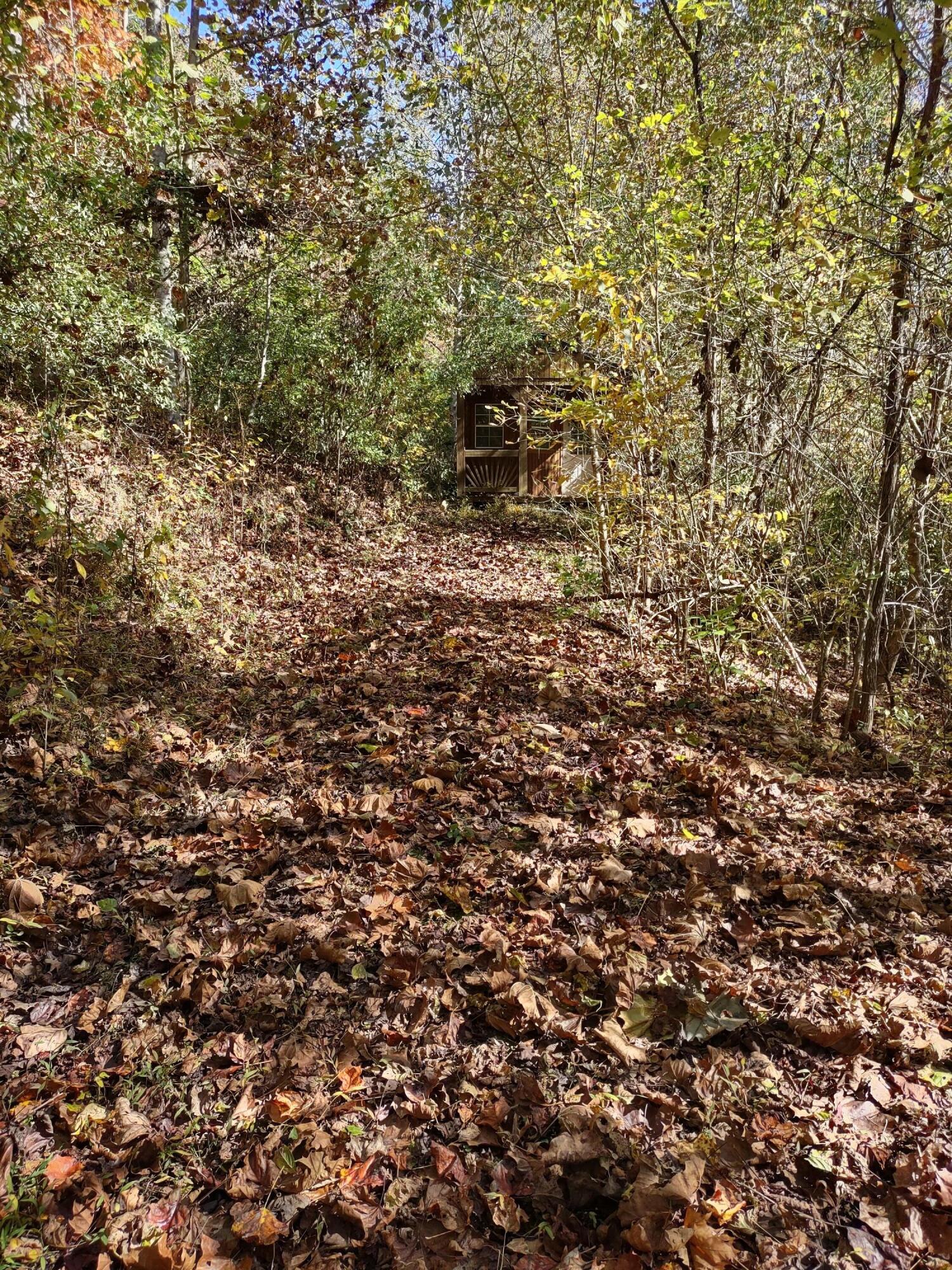 Lot 9 Fork River Road, Abingdon, Virginia image 14
