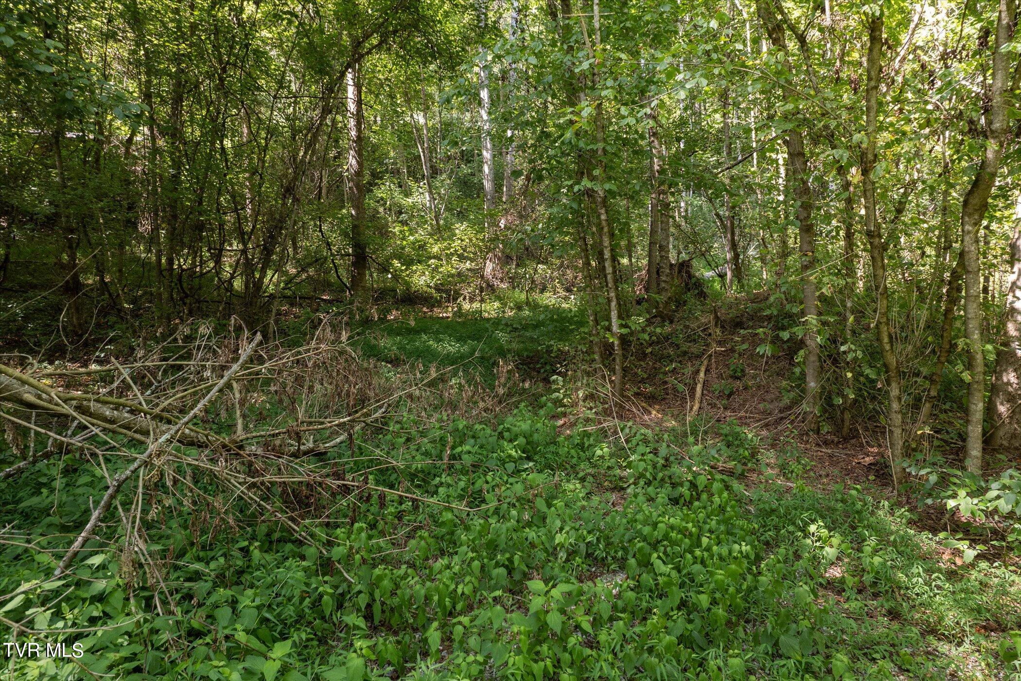 Lot 9 Fork River Road, Abingdon, Virginia image 25