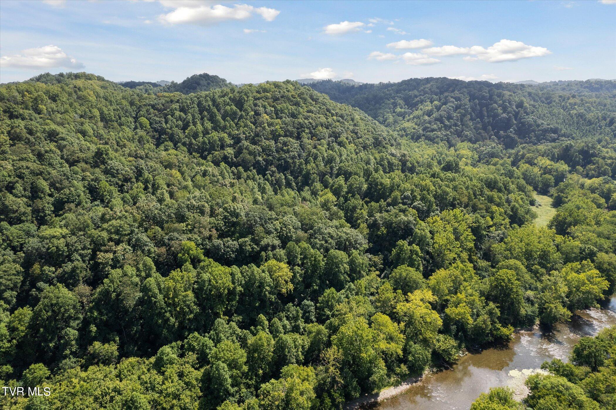 Lot 9 Fork River Road, Abingdon, Virginia image 29