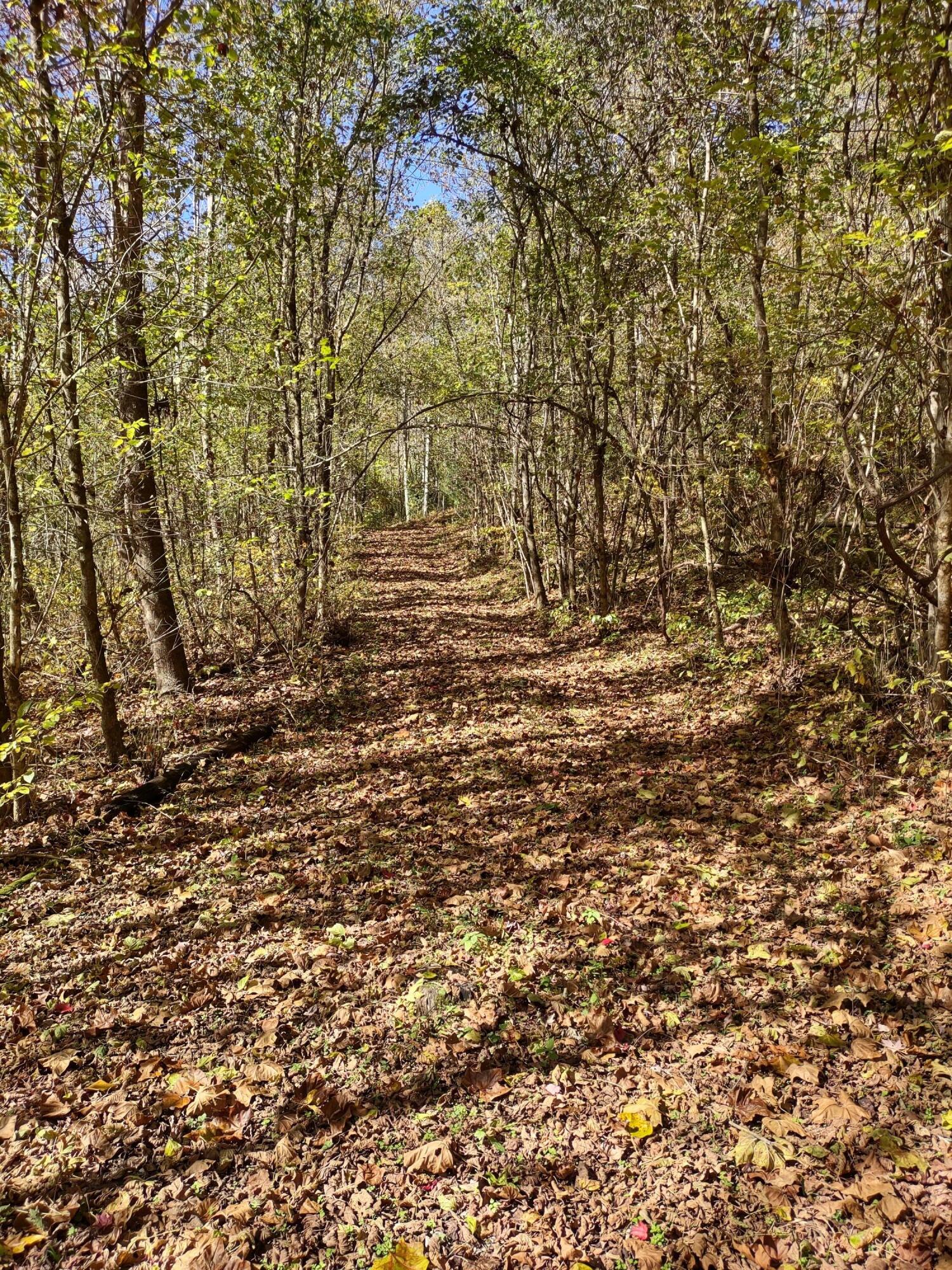 Lot 9 Fork River Road, Abingdon, Virginia image 7