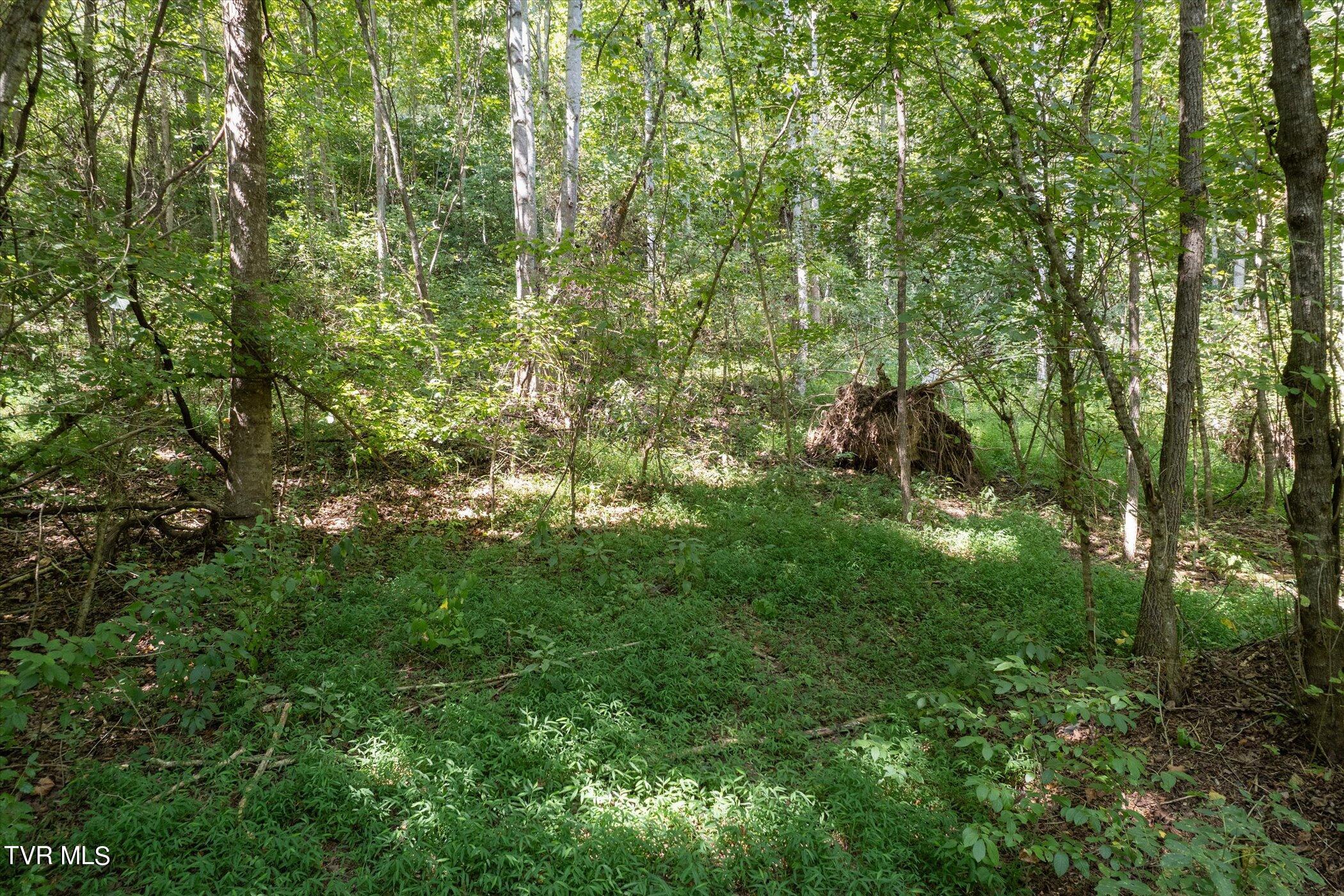 Lot 9 Fork River Road, Abingdon, Virginia image 22