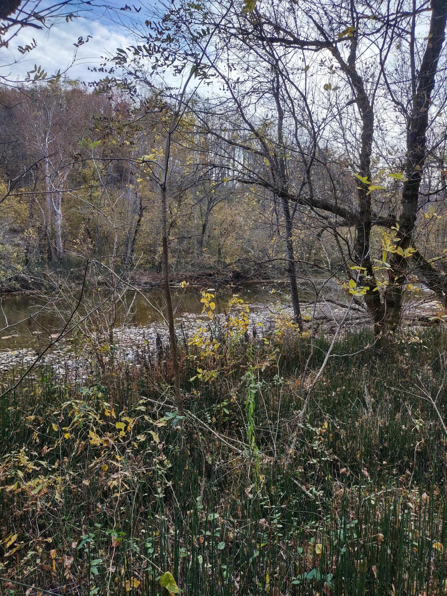Lot 9 Fork River Road, Abingdon, Virginia image 17
