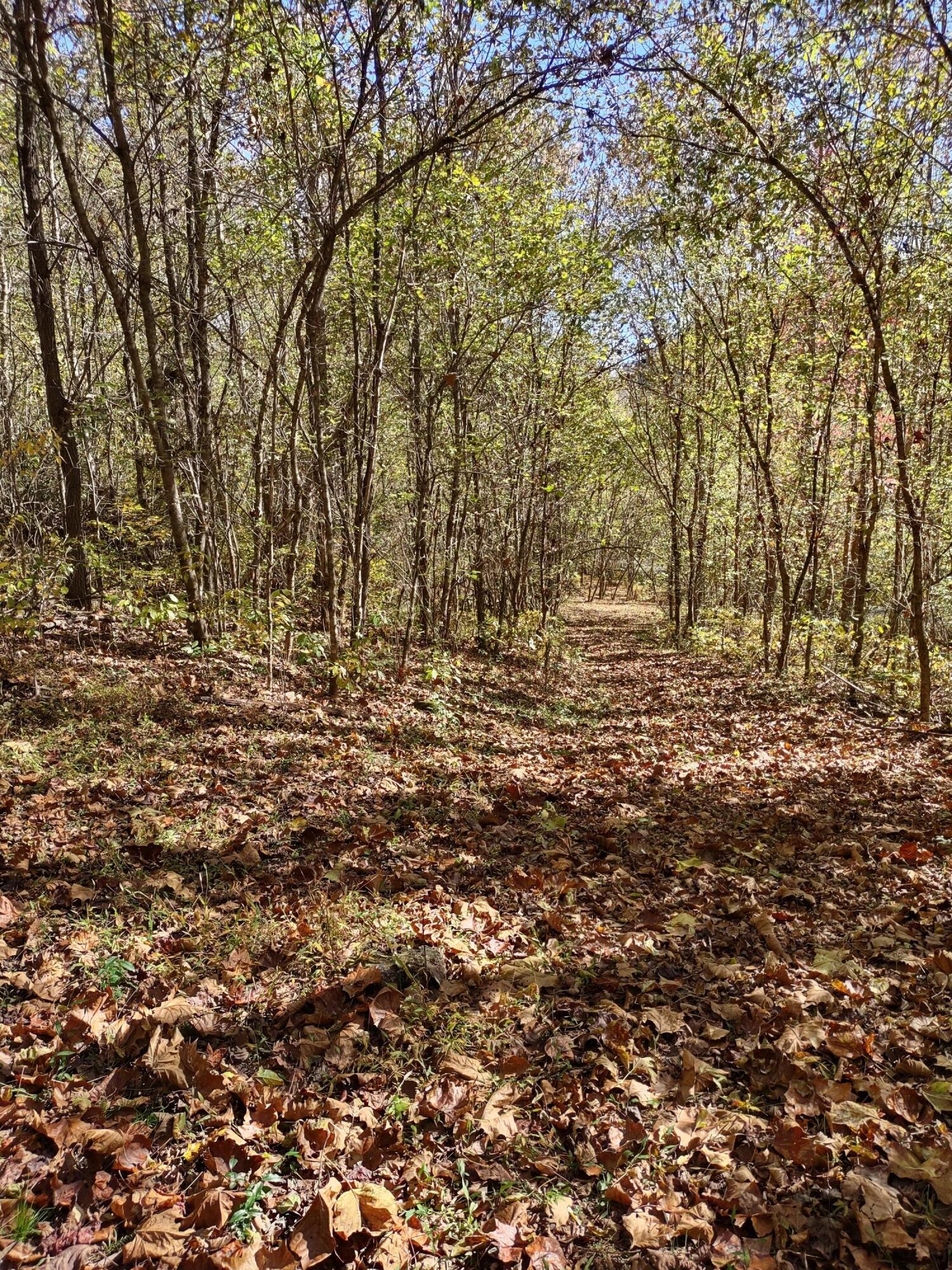 Lot 9 Fork River Road, Abingdon, Virginia image 9
