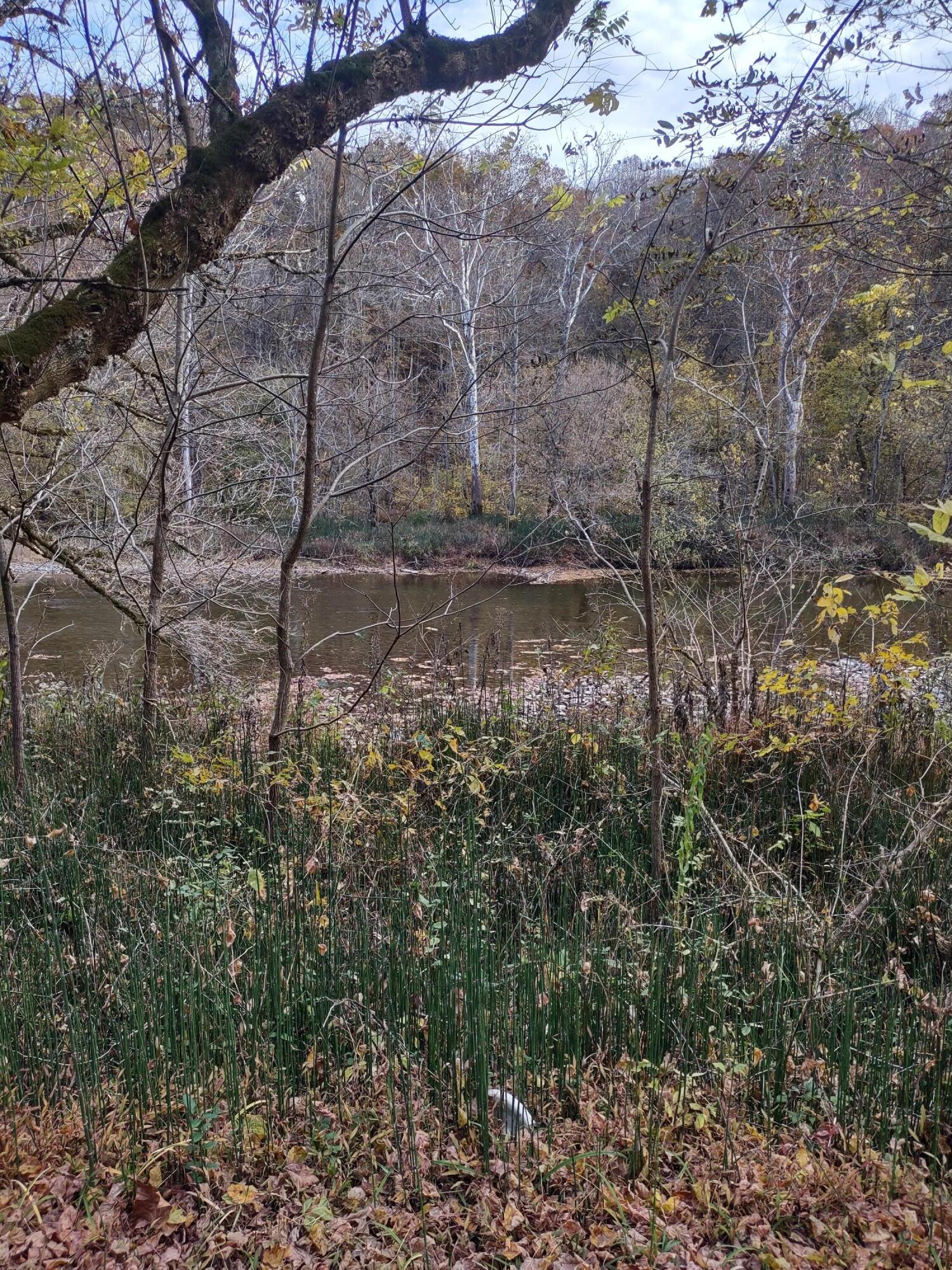 Lot 9 Fork River Road, Abingdon, Virginia image 16
