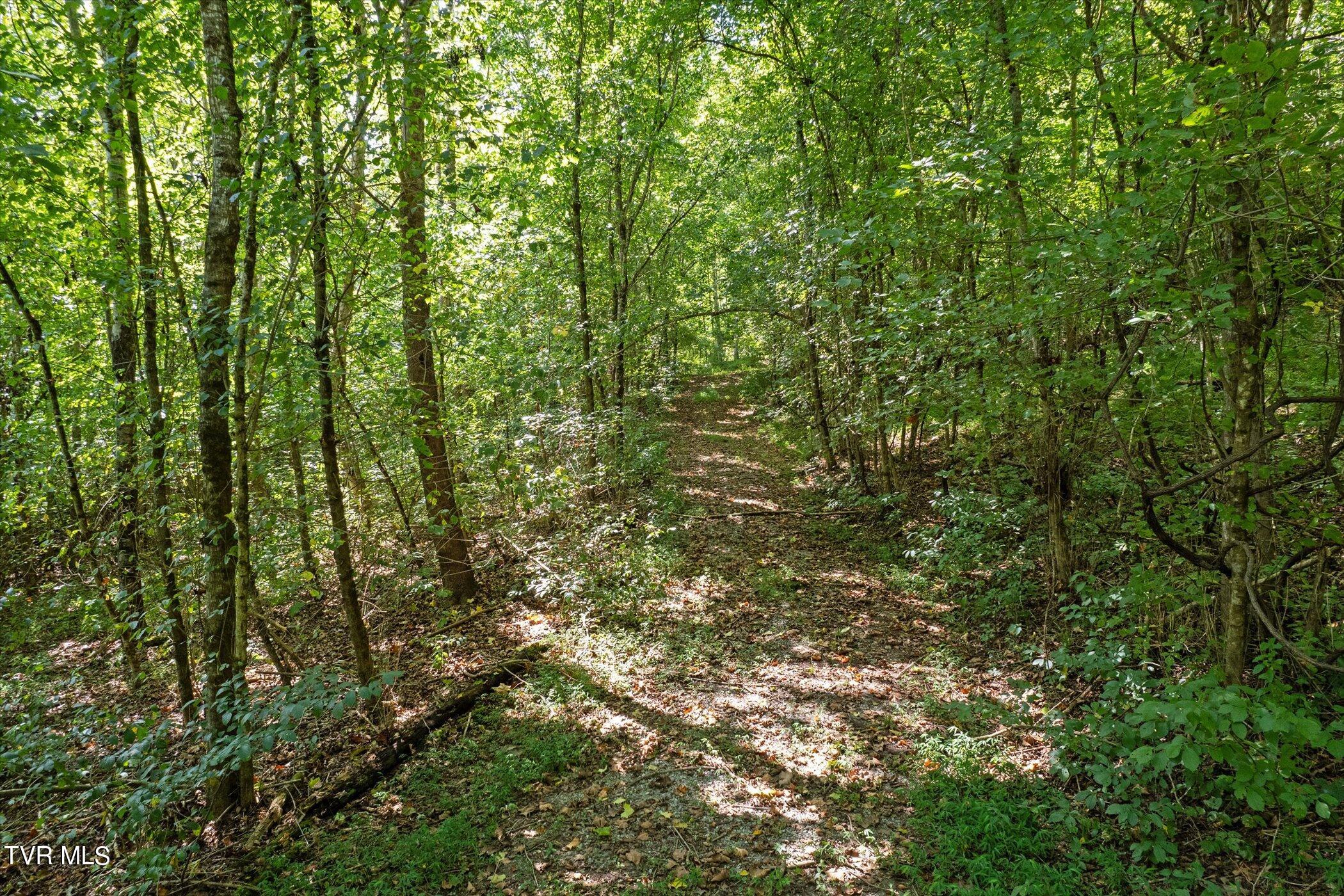 Lot 9 Fork River Road, Abingdon, Virginia image 23
