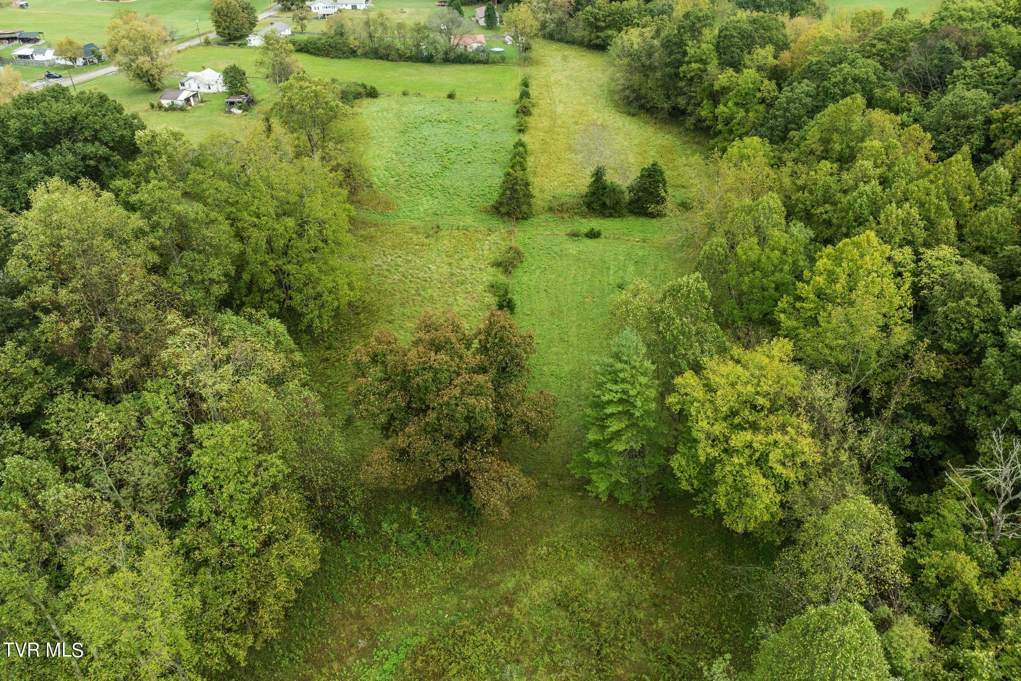1620 Chinquapin Grove Road, Bluff City, Tennessee image 33