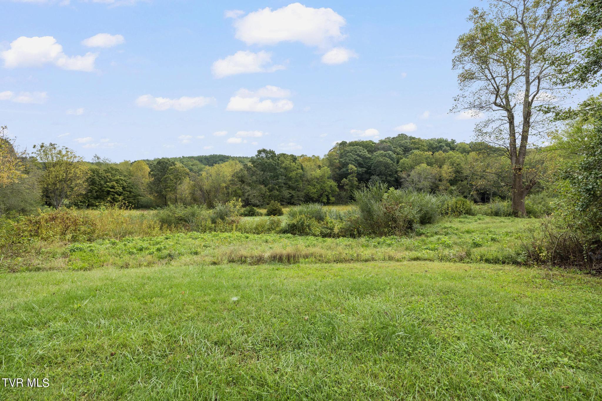 1620 Chinquapin Grove Road, Bluff City, Tennessee image 38