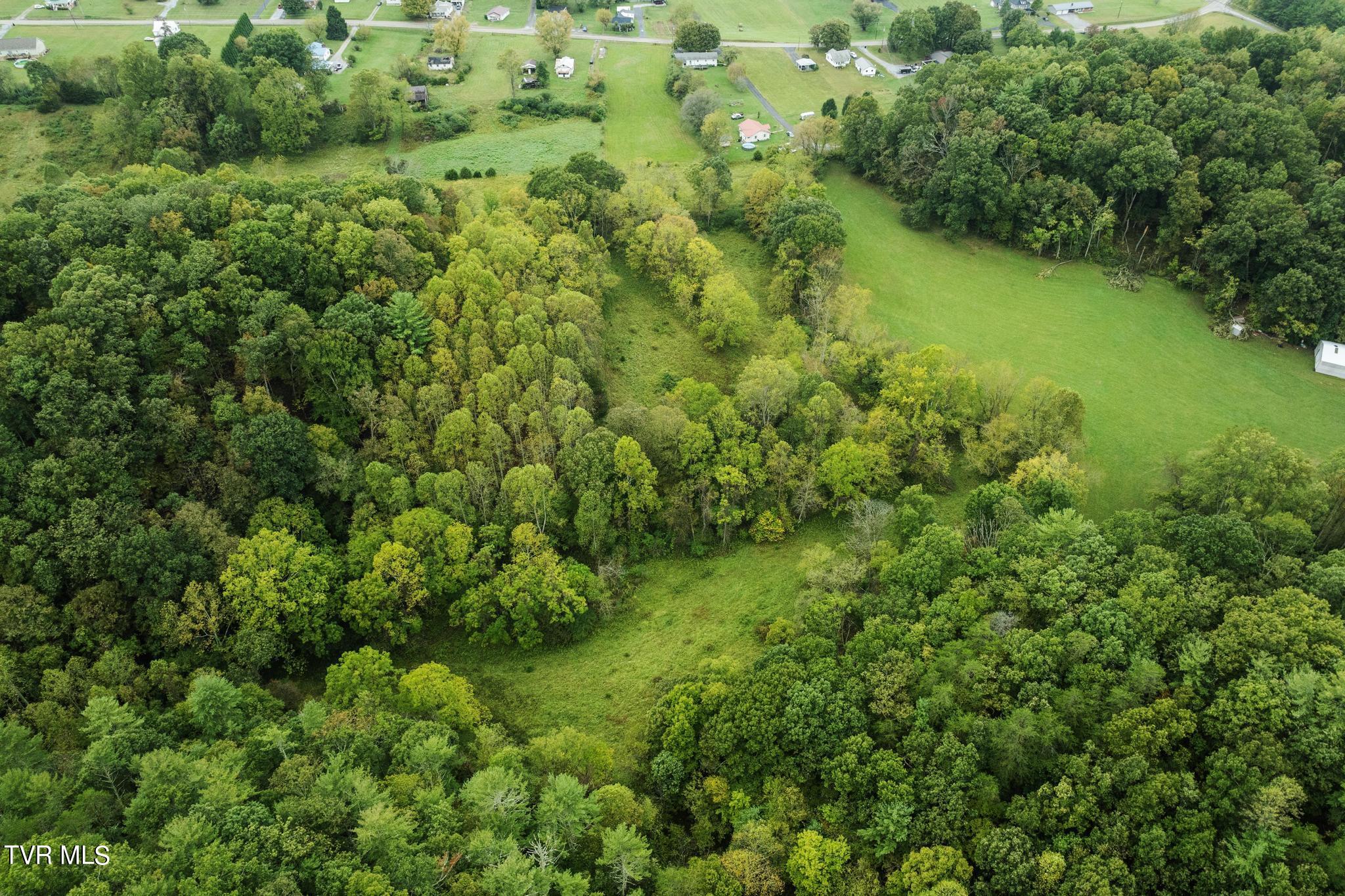1620 Chinquapin Grove Road, Bluff City, Tennessee image 21