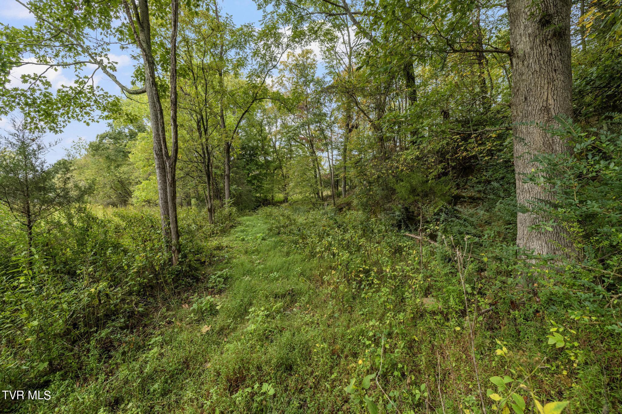 1620 Chinquapin Grove Road, Bluff City, Tennessee image 46