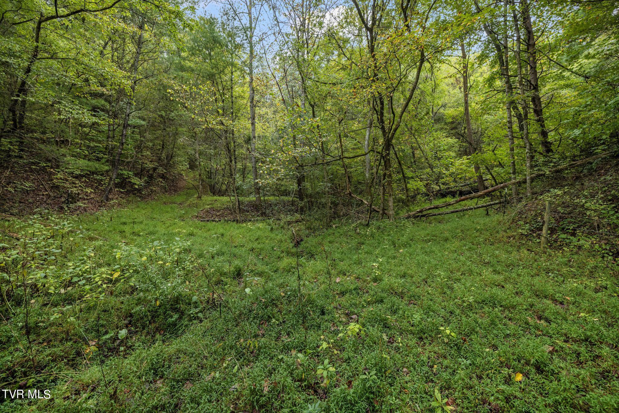 1620 Chinquapin Grove Road, Bluff City, Tennessee image 50