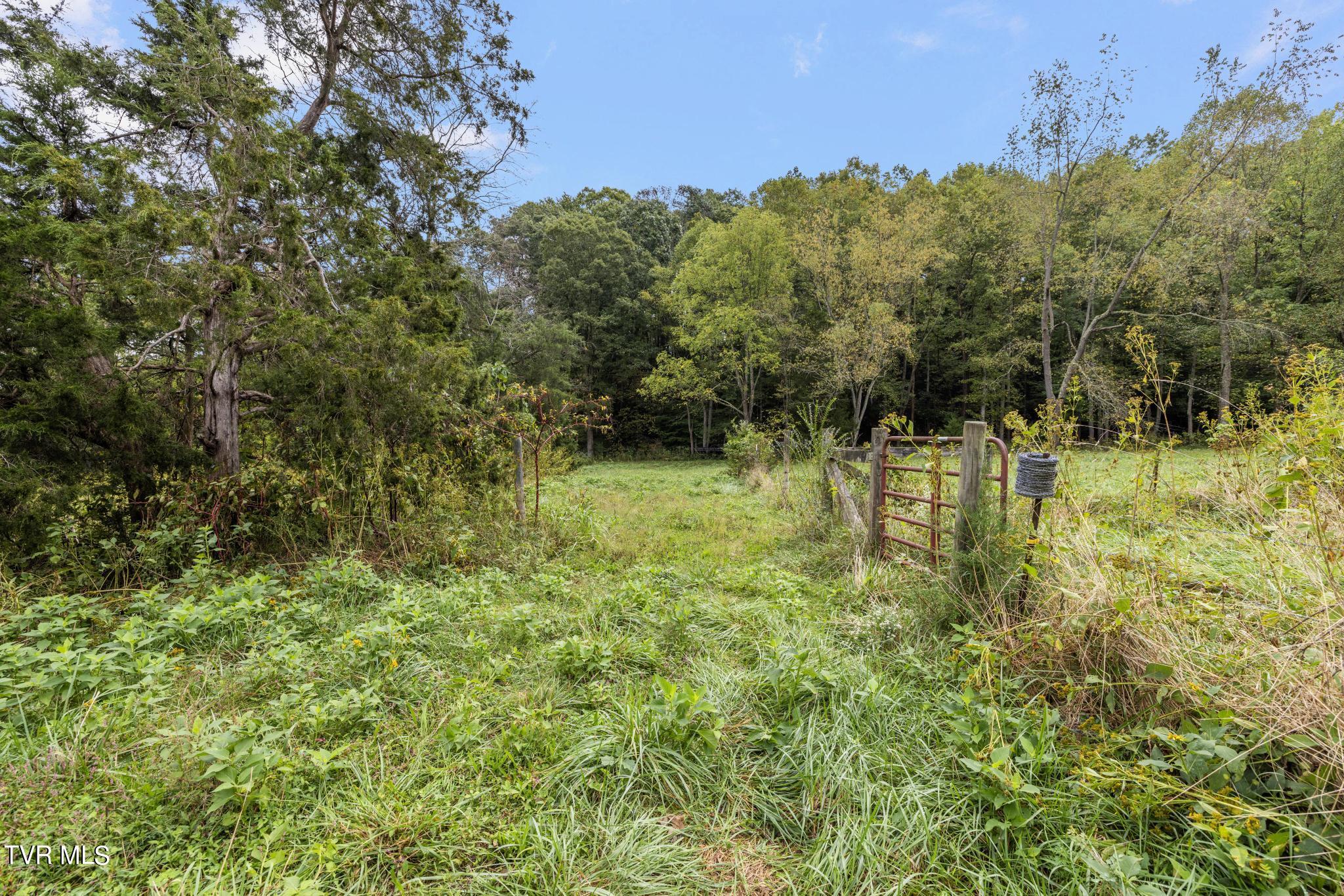1620 Chinquapin Grove Road, Bluff City, Tennessee image 41