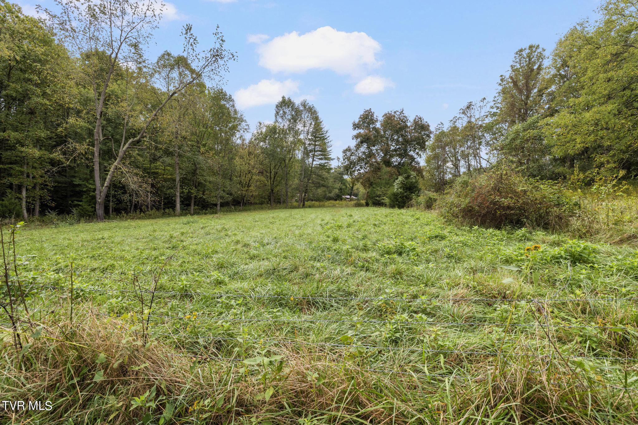 1620 Chinquapin Grove Road, Bluff City, Tennessee image 42