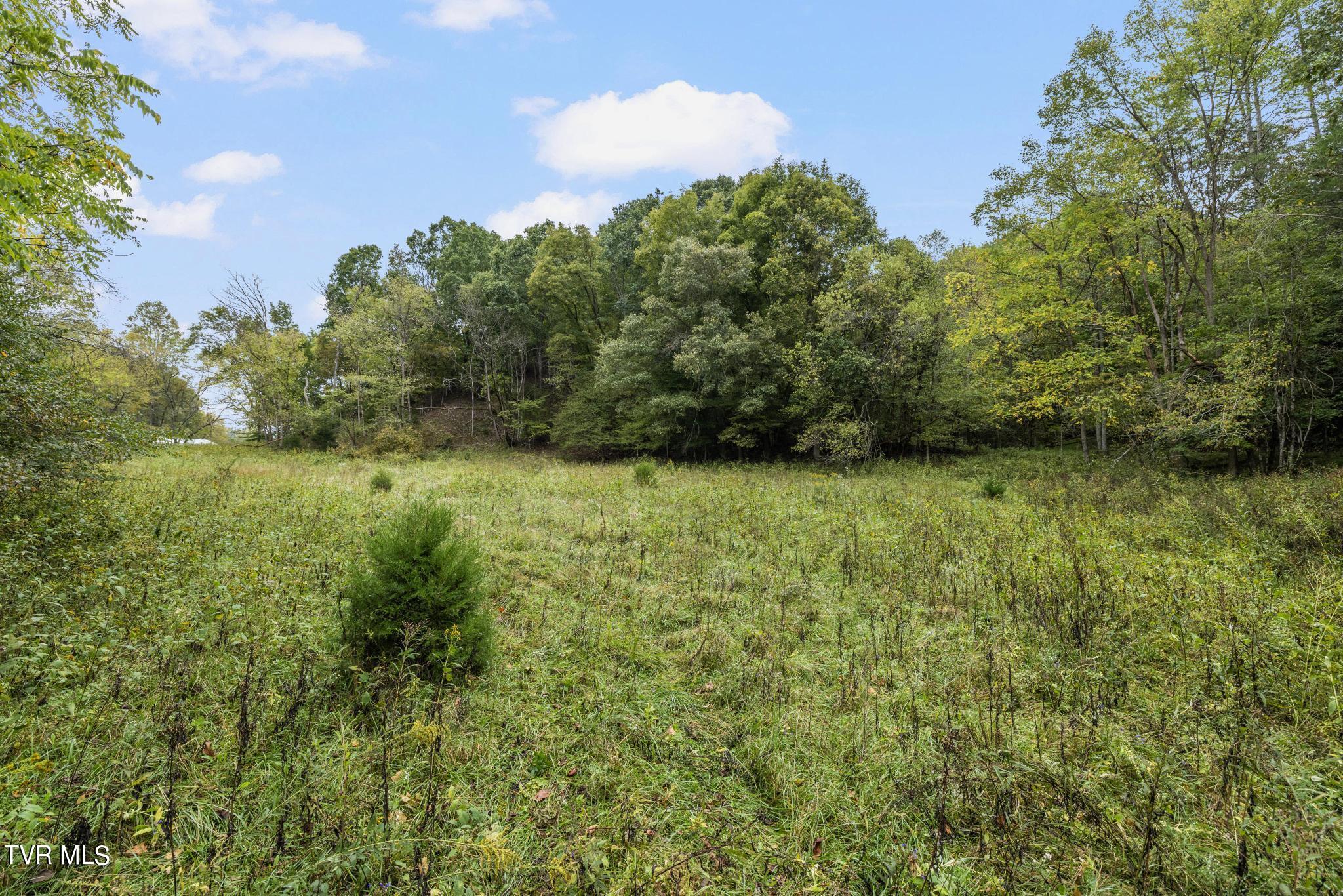 1620 Chinquapin Grove Road, Bluff City, Tennessee image 48