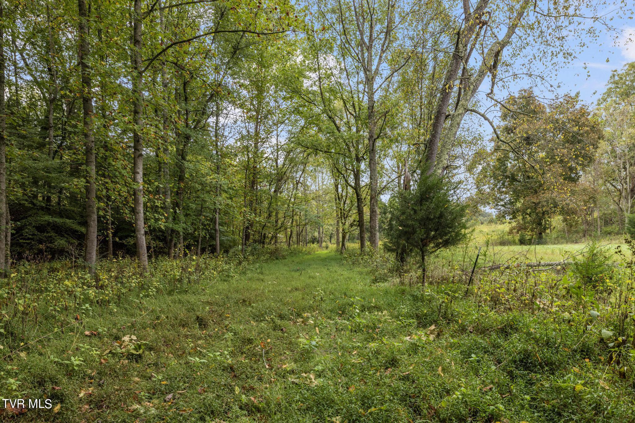1620 Chinquapin Grove Road, Bluff City, Tennessee image 43