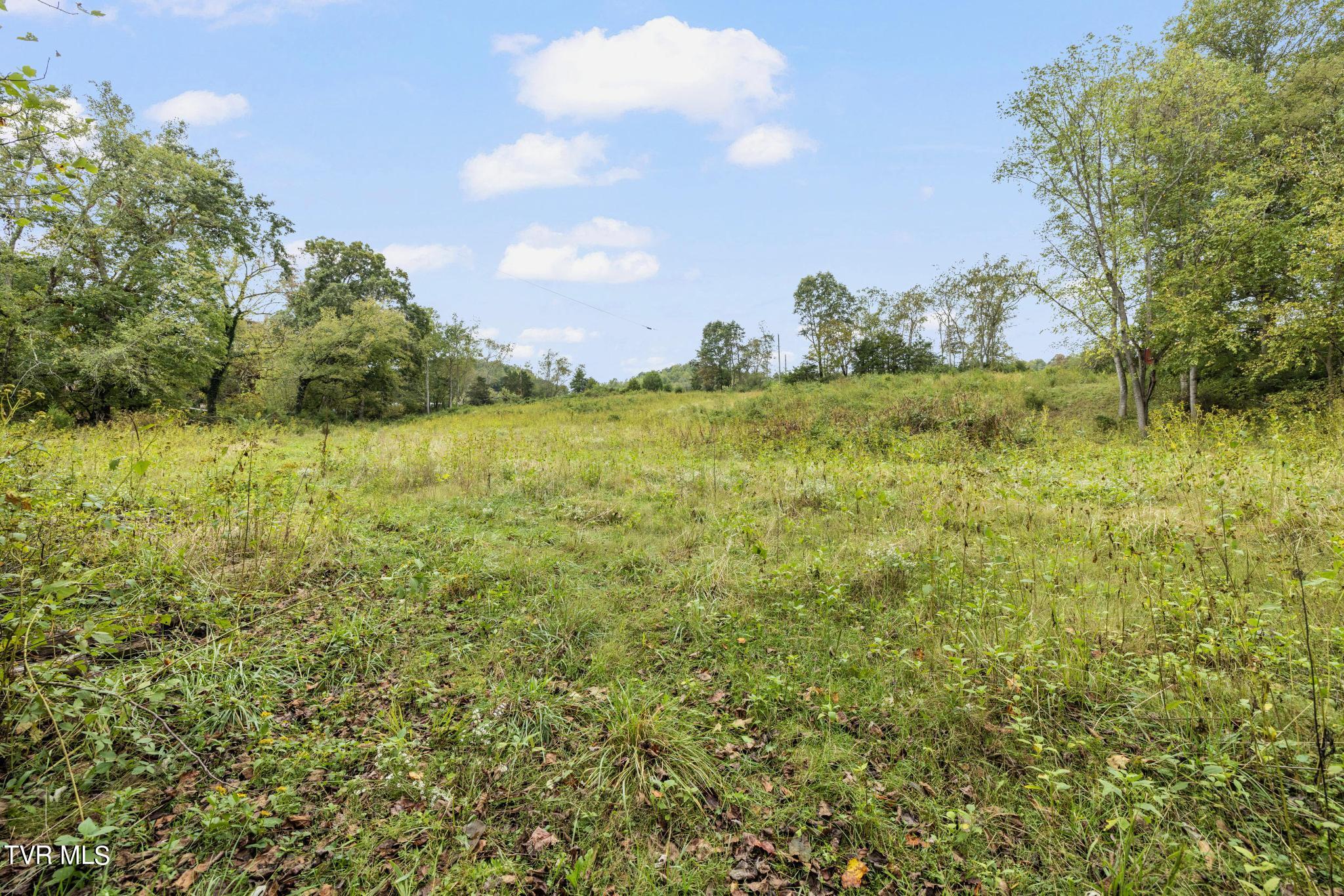 1620 Chinquapin Grove Road, Bluff City, Tennessee image 45