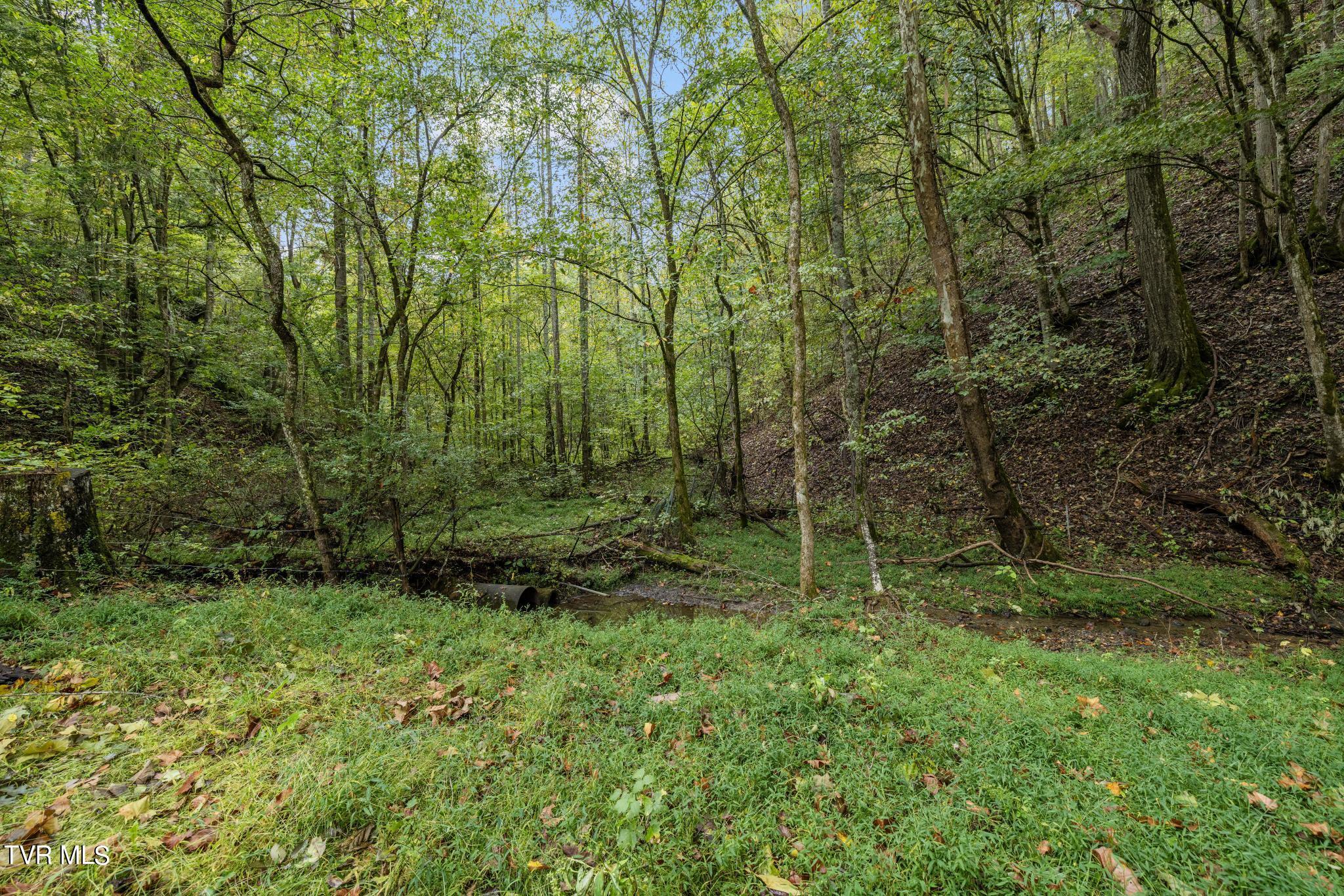 1620 Chinquapin Grove Road, Bluff City, Tennessee image 49