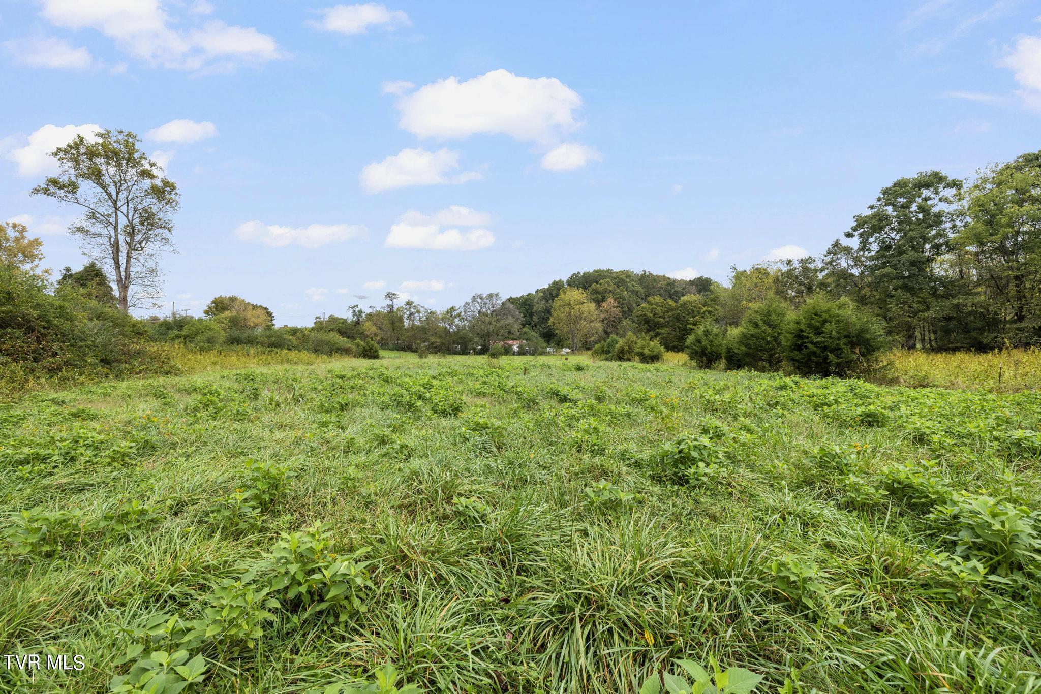 1620 Chinquapin Grove Road, Bluff City, Tennessee image 40