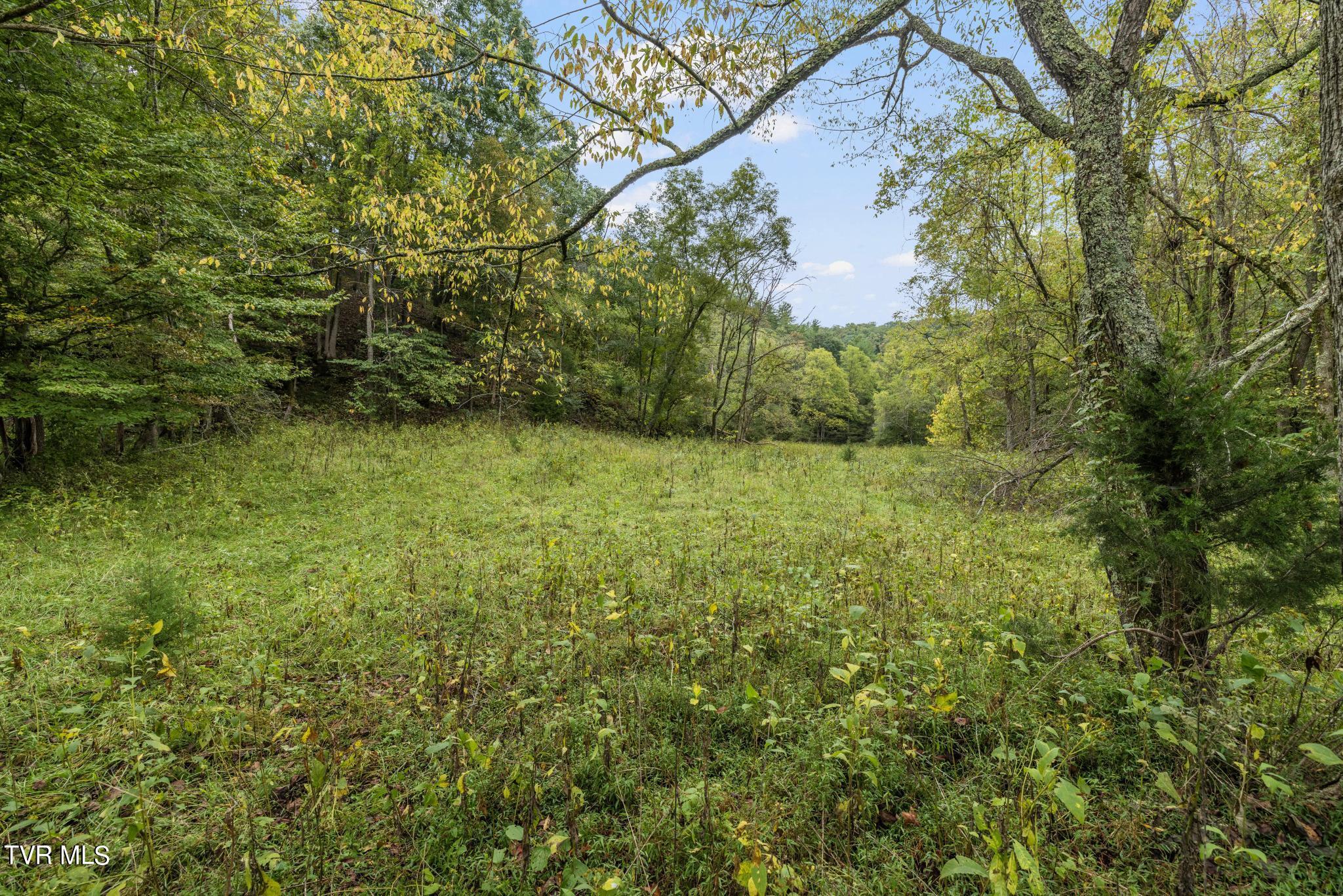 1620 Chinquapin Grove Road, Bluff City, Tennessee image 47