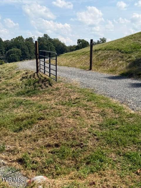Photo of 132 Wheelock Road, Jonesborough, TN 37659 (MLS # 10000283)