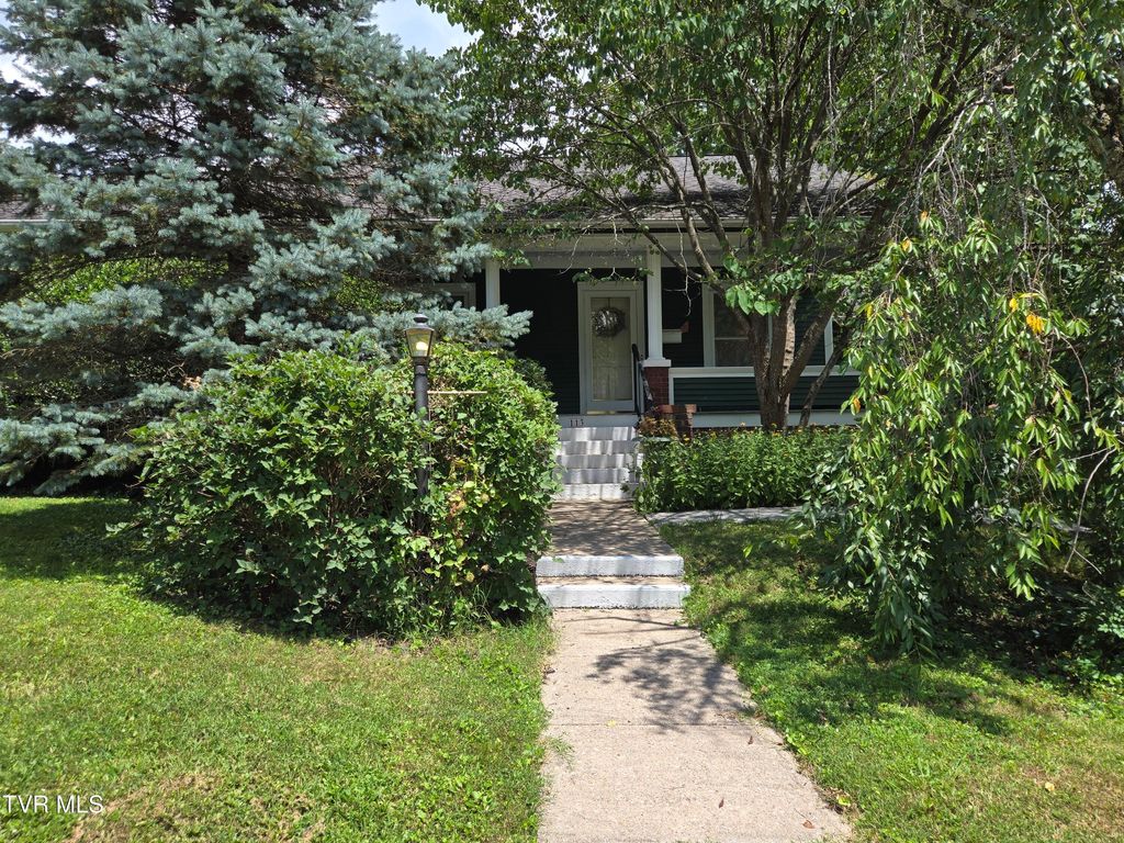 Photo of 113 2nd Street, Big Stone Gap, VA 24219 (MLS # 9983191)