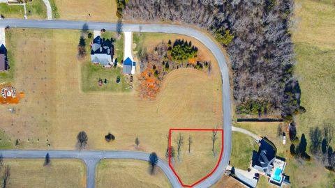 Vacant Land For Sale - LOT 69 Walnut Tree Drive<br/> Church Hill, TN 37642
