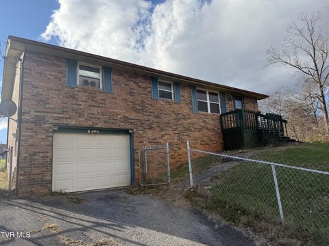 Photo of 425 Kingsley Avenue, Kingsport, TN 37660 (MLS # 9988766)
