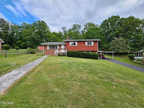 Photo of 349 Belmont Drive, Bristol, TN 37620 (MLS # 9995421)