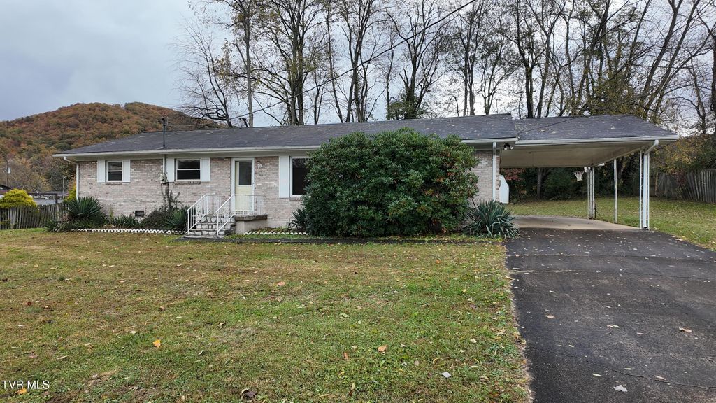 Photo of 111 Myrtle Avenue, Erwin, TN 37650 (MLS # 9987569)