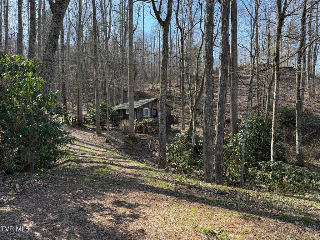 Photo of 1770 Red Brush Road, Mountain City, TN 37683 (MLS # 9992849)