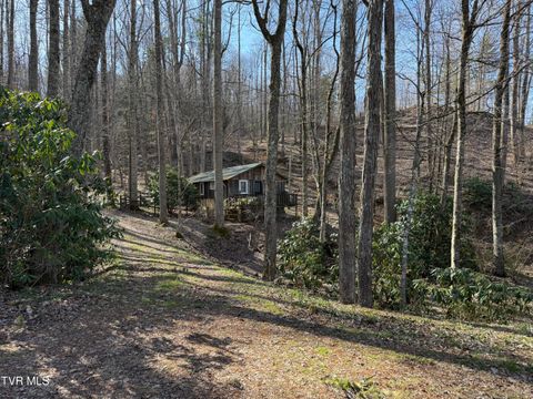 Photo of 1770 Red Brush Road, Mountain City, TN 37683 (MLS # 9992849)