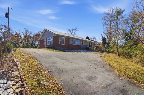 Photo of 108 Cottonwood Drive, Greeneville, TN 37745 (MLS # 9988406)