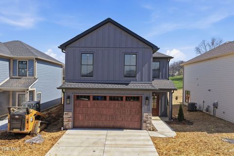 Homes For Sale - 310 Monroe Drive<br/> Bristol, TN 37620