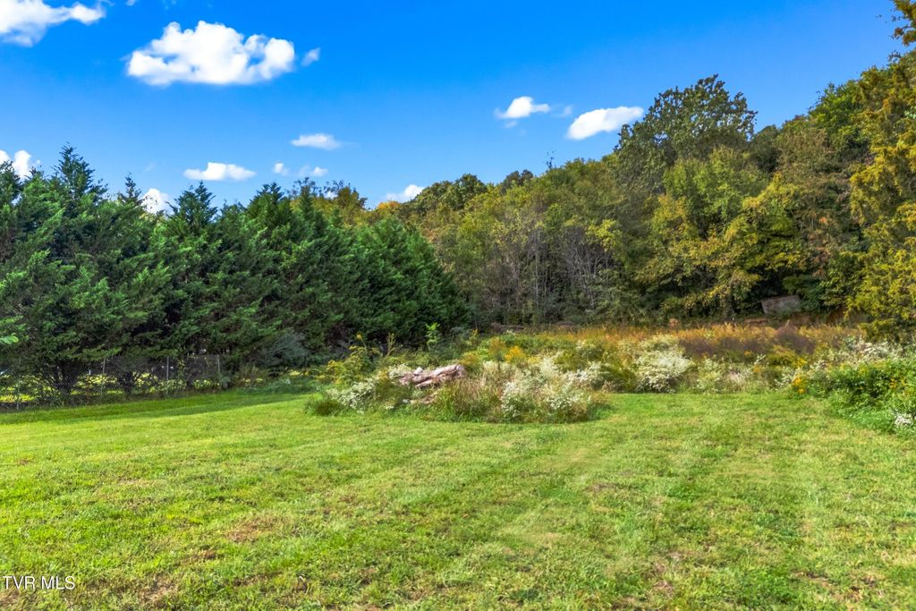 Photo of 465 Livingston Road, Bean Station, TN 37708 (MLS # 9992886)