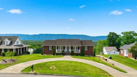 Photo of 132 Landon Drive, Mount Carmel, TN 37645 (MLS # 9995664)
