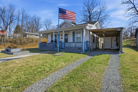Photo of 540 Oakwood Street, Bristol, TN 37620 (MLS # 9991768)