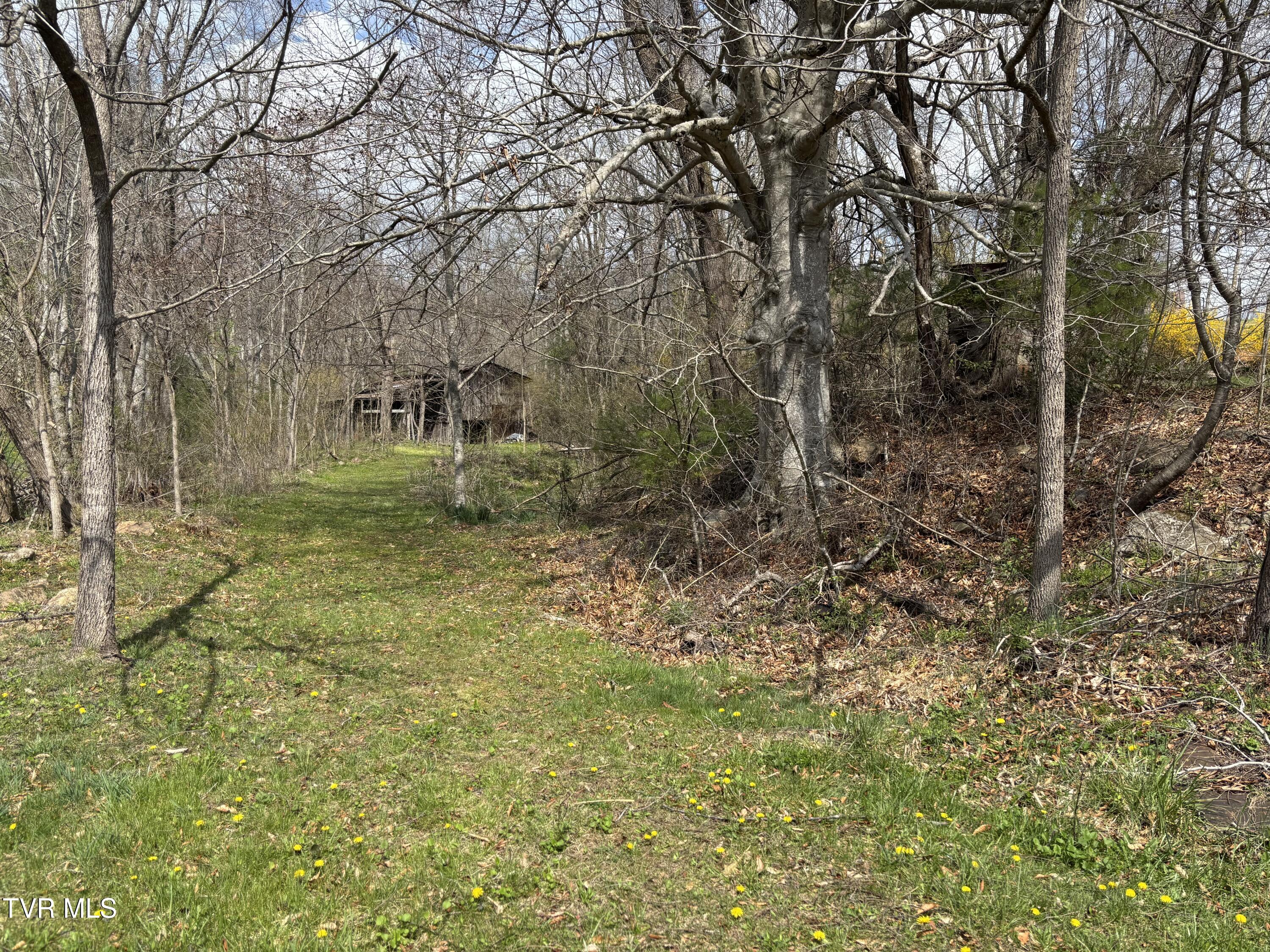 136 Swift Hollow Lane, Mountain City, Tennessee image 6