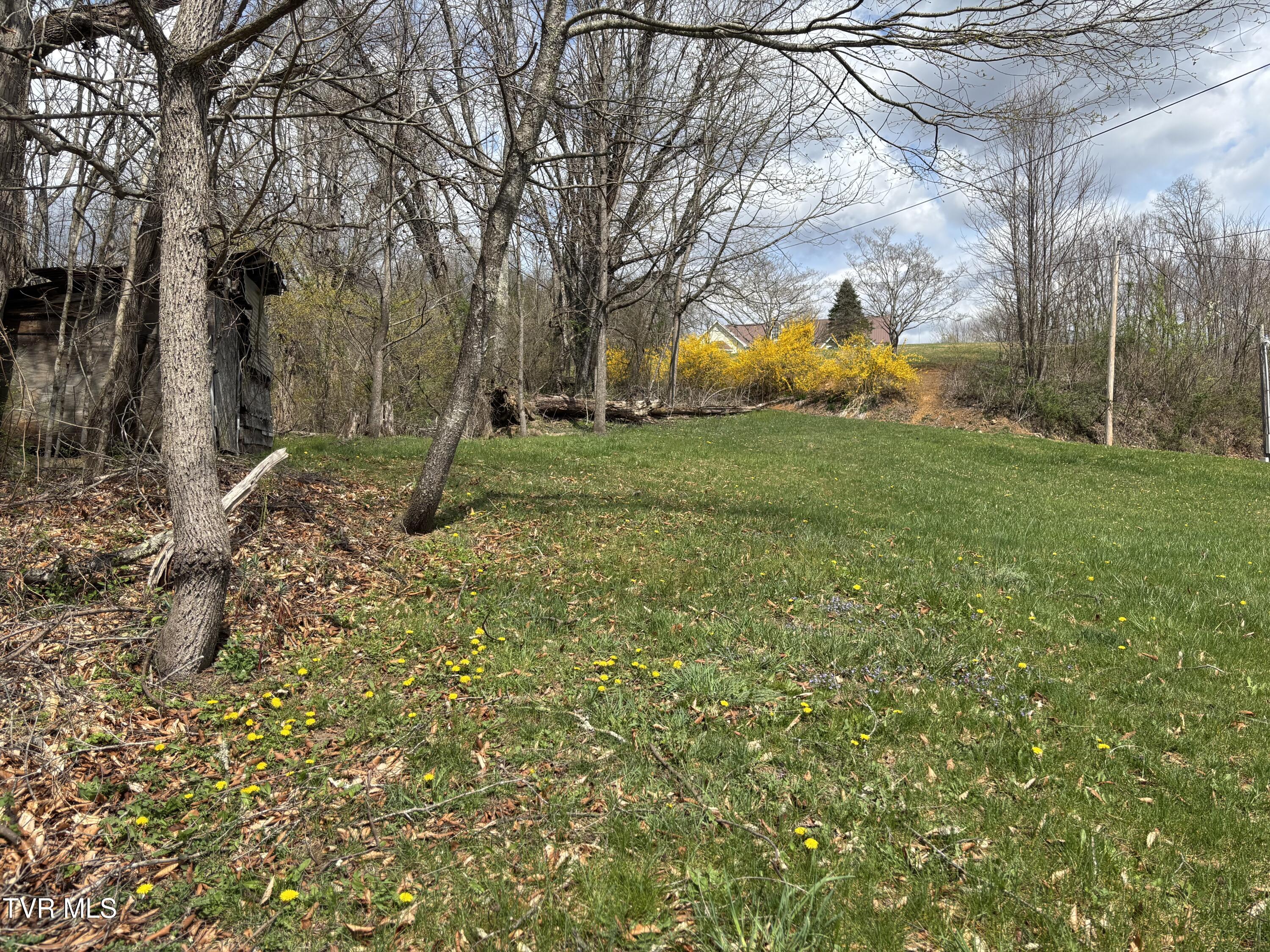 136 Swift Hollow Lane, Mountain City, Tennessee image 8