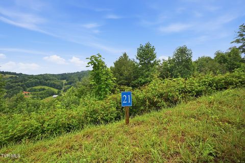 Vacant Land For Sale - LOT 21 Eagle Ridge Parkway<br/> Butler, TN 37640