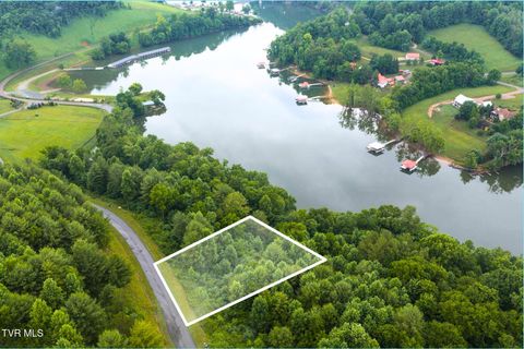 Vacant Land For Sale - LOT 21 Eagle Ridge Parkway<br/> Butler, TN 37640