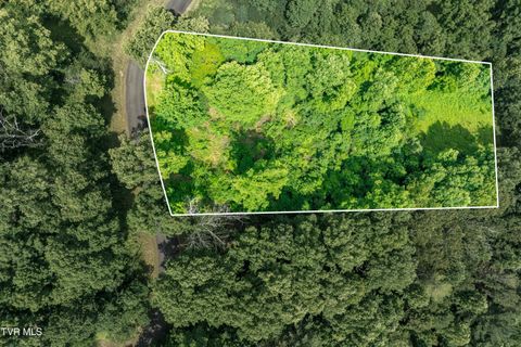 Vacant Land For Sale - LOT 11 Lake Ridge Road<br/> Johnson County, Butler, TN 37640